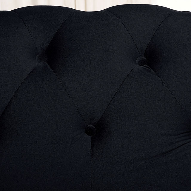 Giacomo Chair Black & Blue